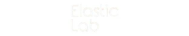 Elastic Lab
